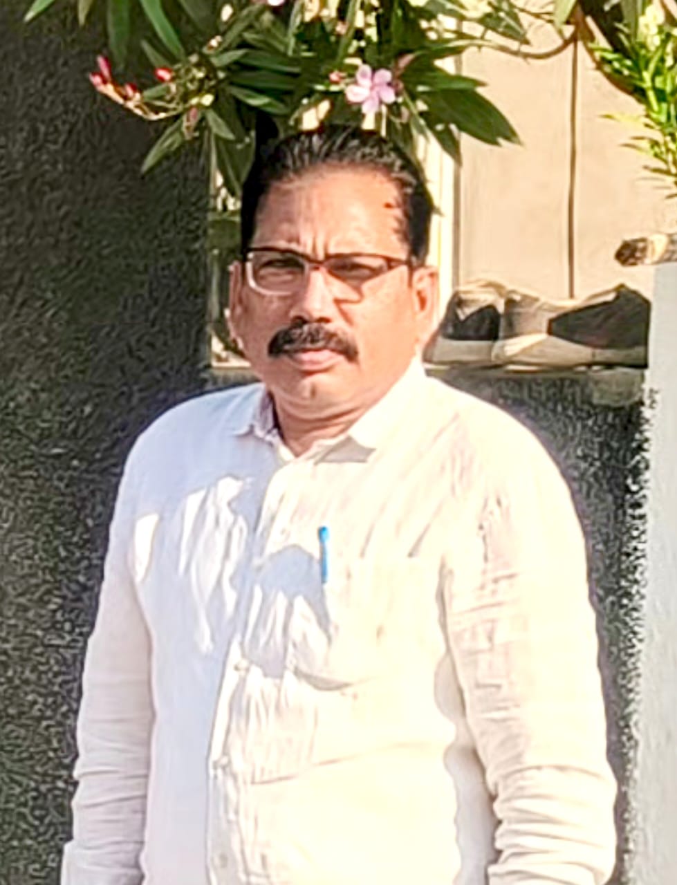 गट विकास अधिकारी (BDO)